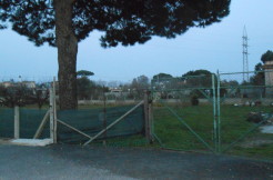 T12 Anzio Miglioramento T12 Anzio Miglioramento