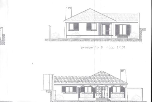10007-e1606415909568