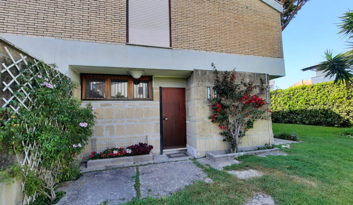 u111 (37)