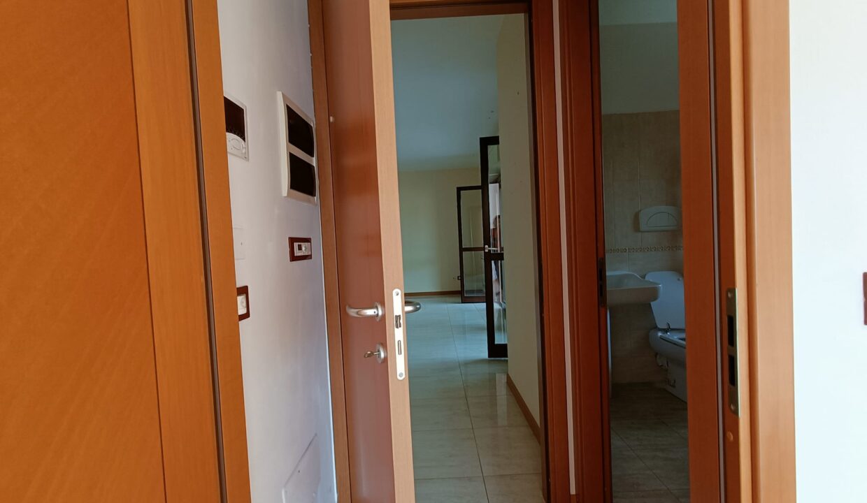 WhatsApp Image 2023-07-11 at 17.20.13