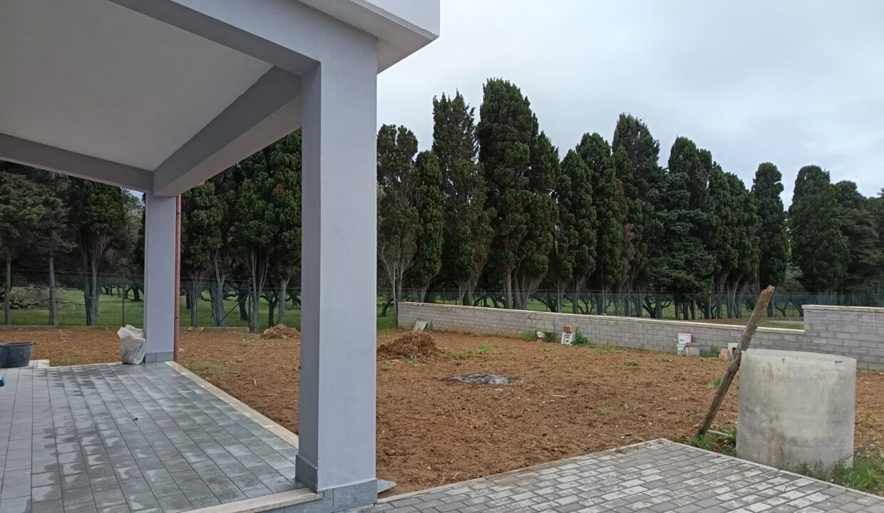WhatsApp Image 2025-04-17 at 17.55.54
